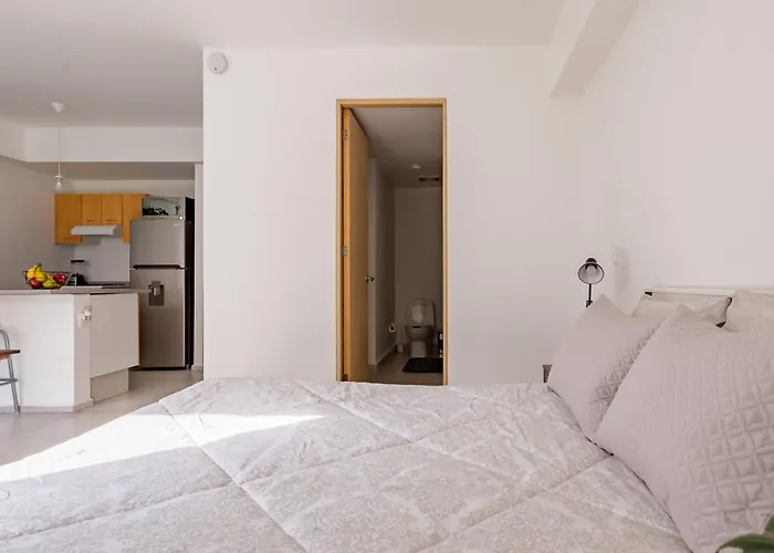 Epj06 - 1br - 1bth Apartment Mexico City